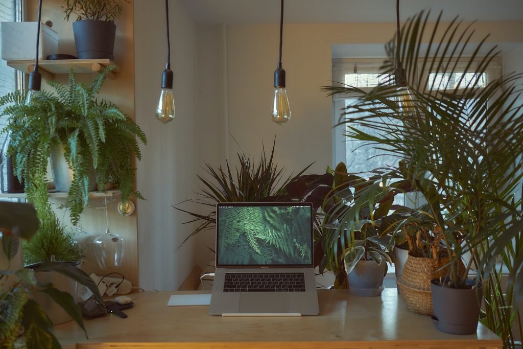 bureau avec des plantes